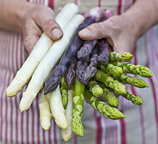 eine Hand voll grüner, violetter und weißer Spargel